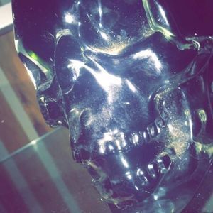 Meet your Posher, Molly